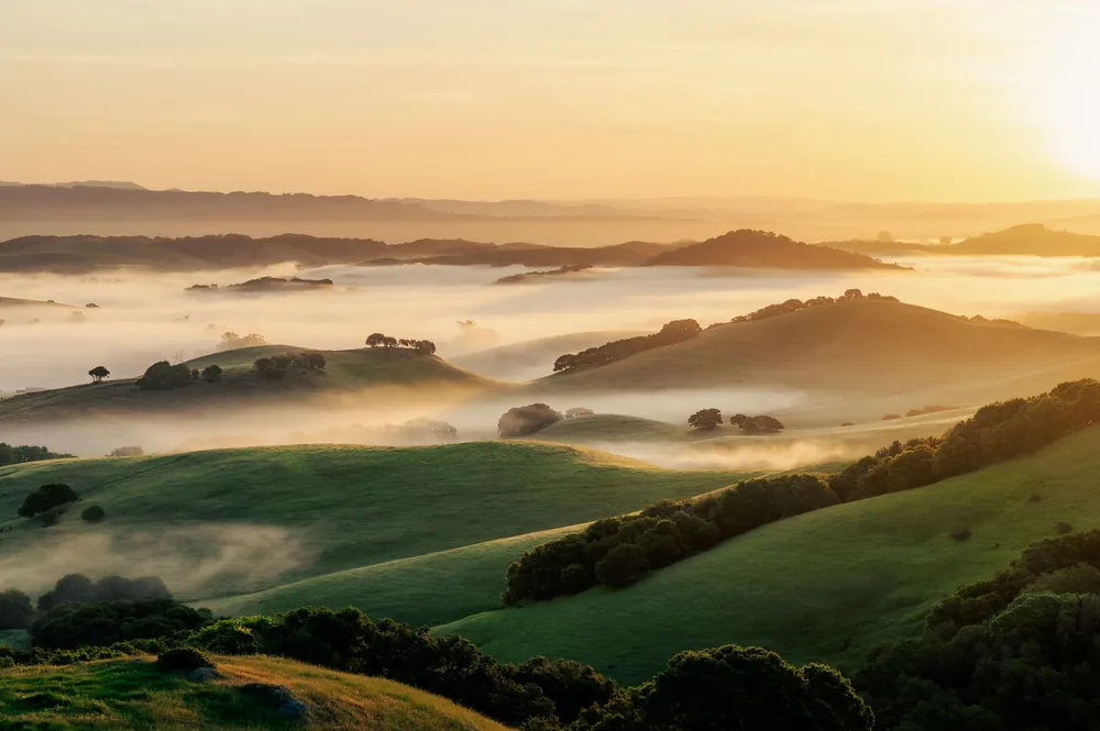 Peaceful rolling hills and fog at sunrise, capturing the serene beauty of nature