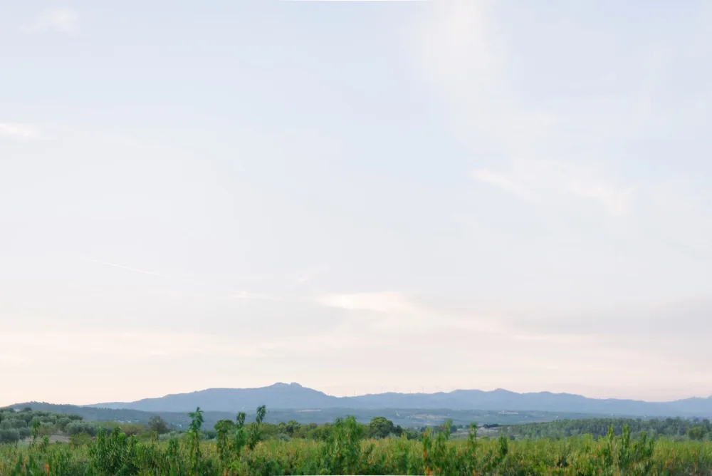 Peaceful rural scene with lush greenery and mountain range under a clear sky
