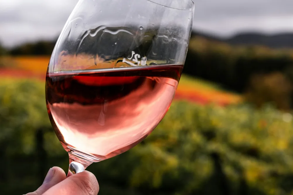 Person holding clear wine glass with red wine