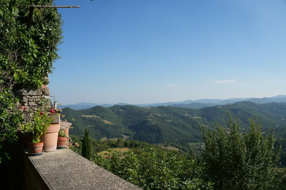 Potted plants on a balcony overlooking lush green hills