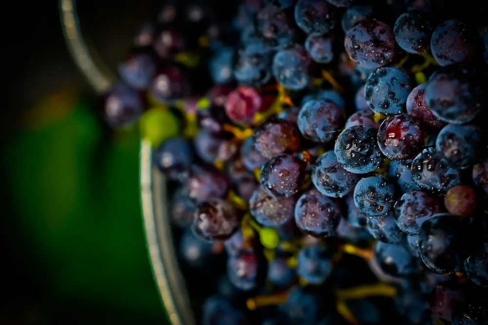 Purple grapes in black round container