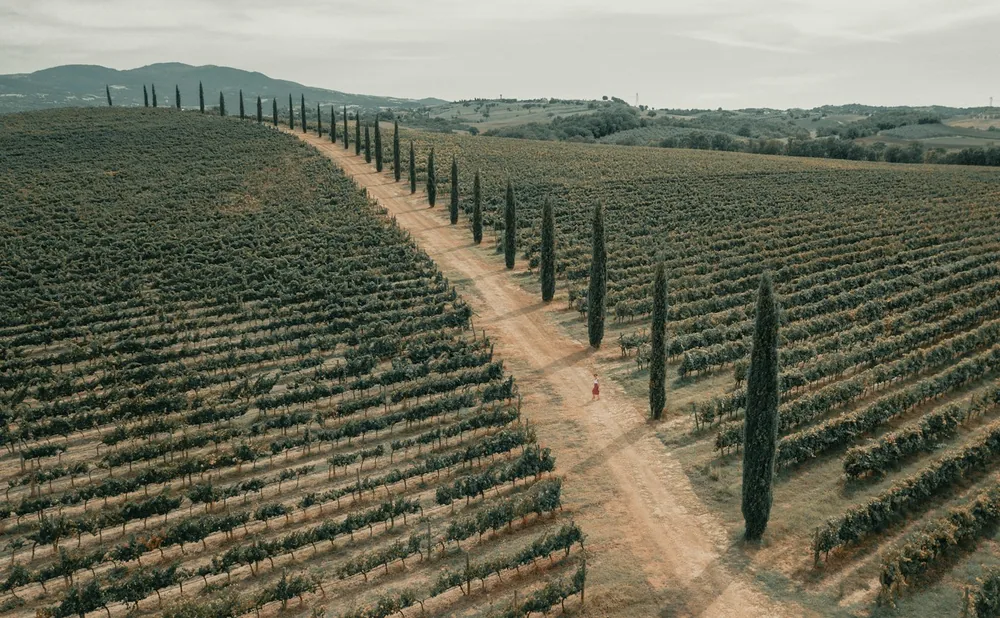 Roaming around the Tuscan countryside