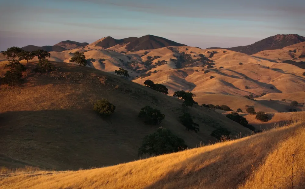 Rolling golden hills at sunset in Walnut Creek, California