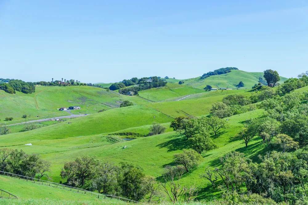 Rolling green hills under a bright blue sky, capturing the essence of peaceful nature