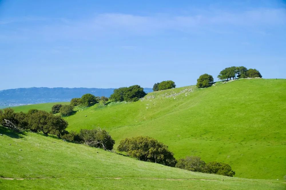 Rolling green hills under a clear, blue sky