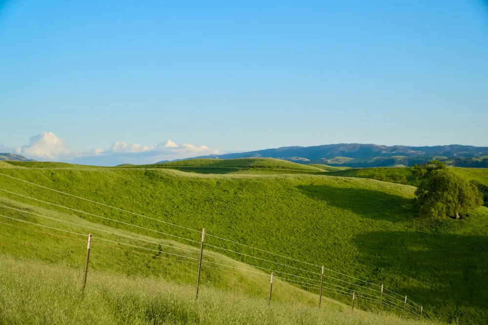 Rolling green hills under a clear blue sky