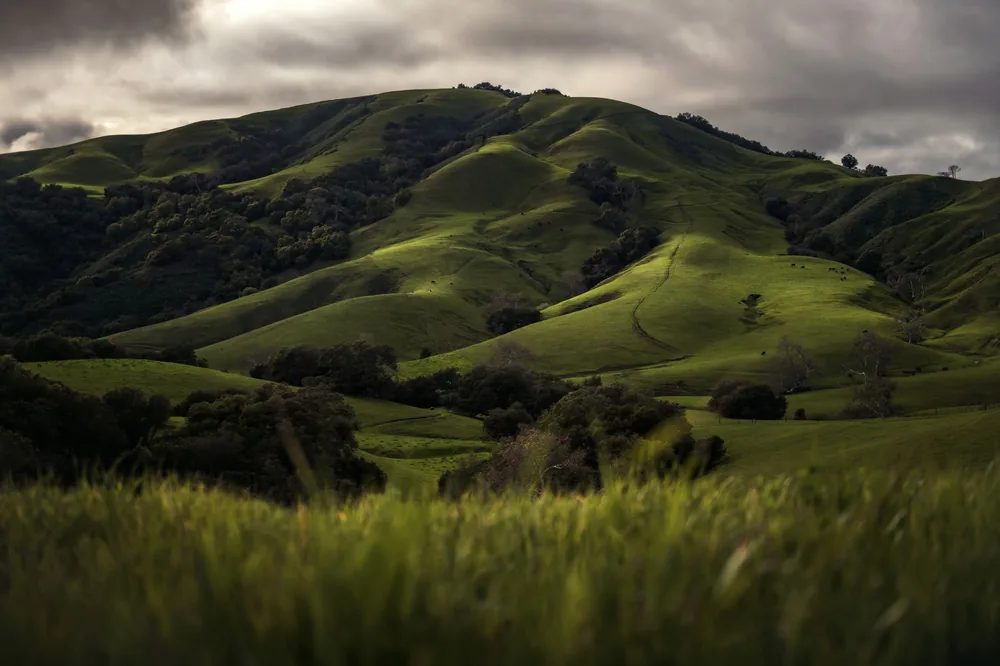 Rolling green hills under a dramatic overcast sky in Cambria, California