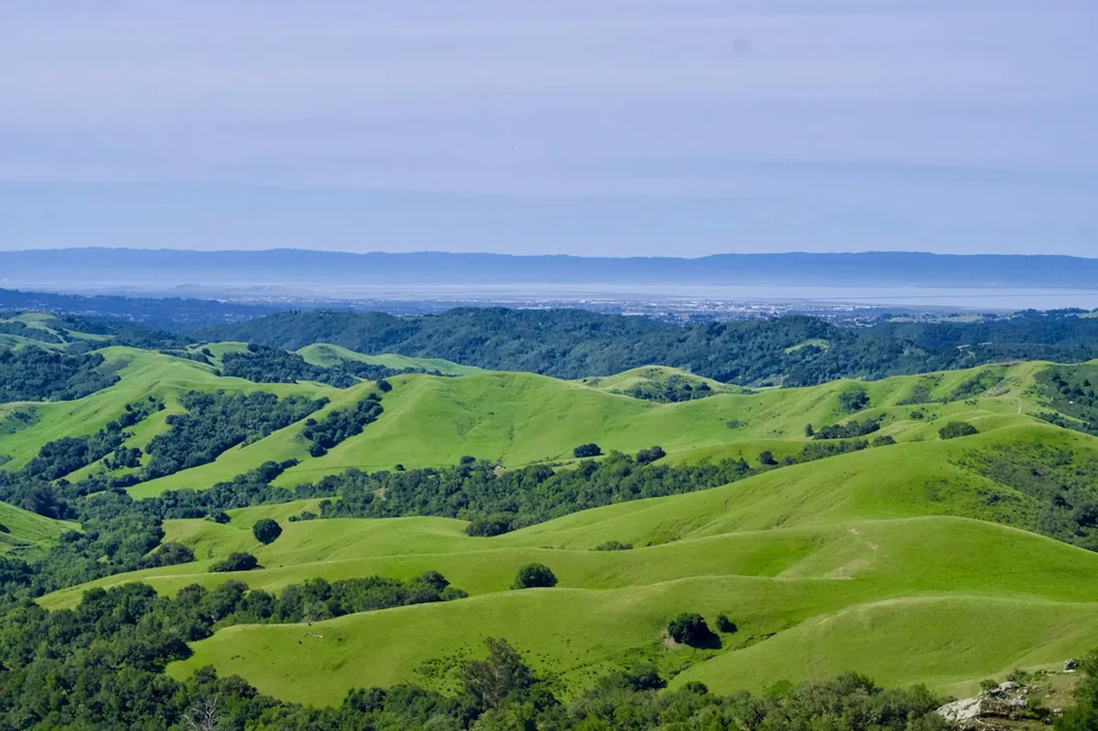 Rolling green hills with scattered trees under a hazy sky
