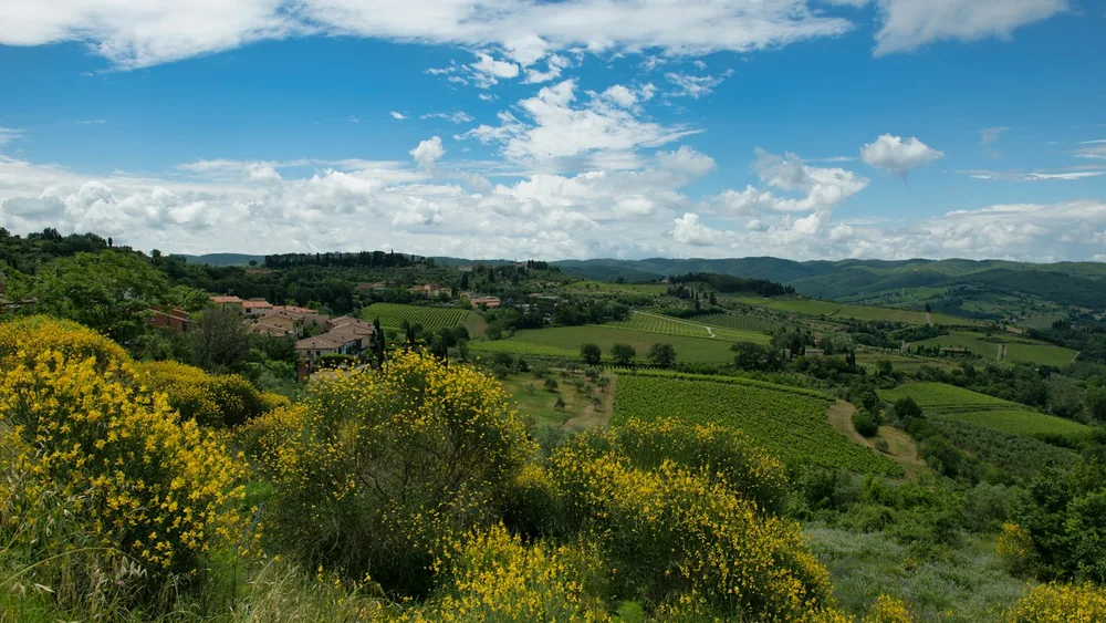 Rolling green hills with yellow blooming bushes under blue sky