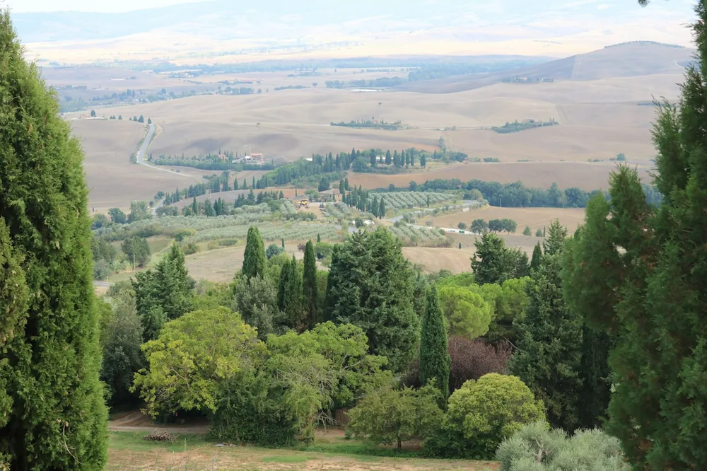 Rolling hills and cypress trees in a vast countryside landscape