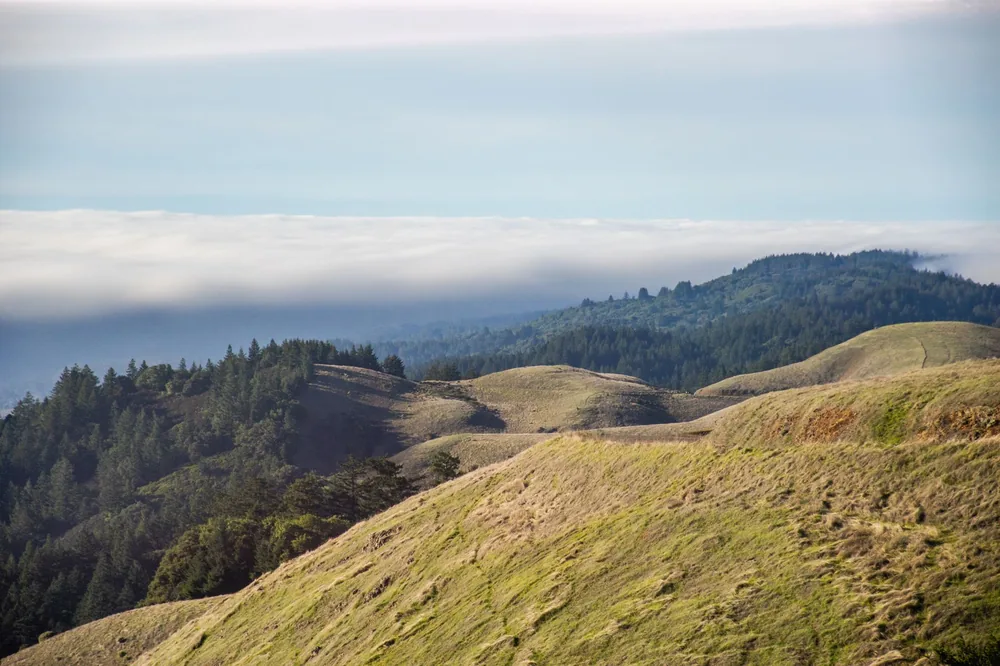 Rolling hills and dense forests under a misty sky