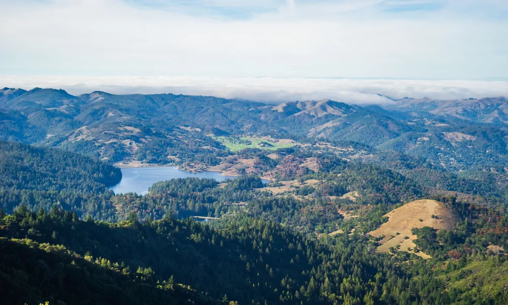Rolling hills and lush forests with a serene lake in the distance