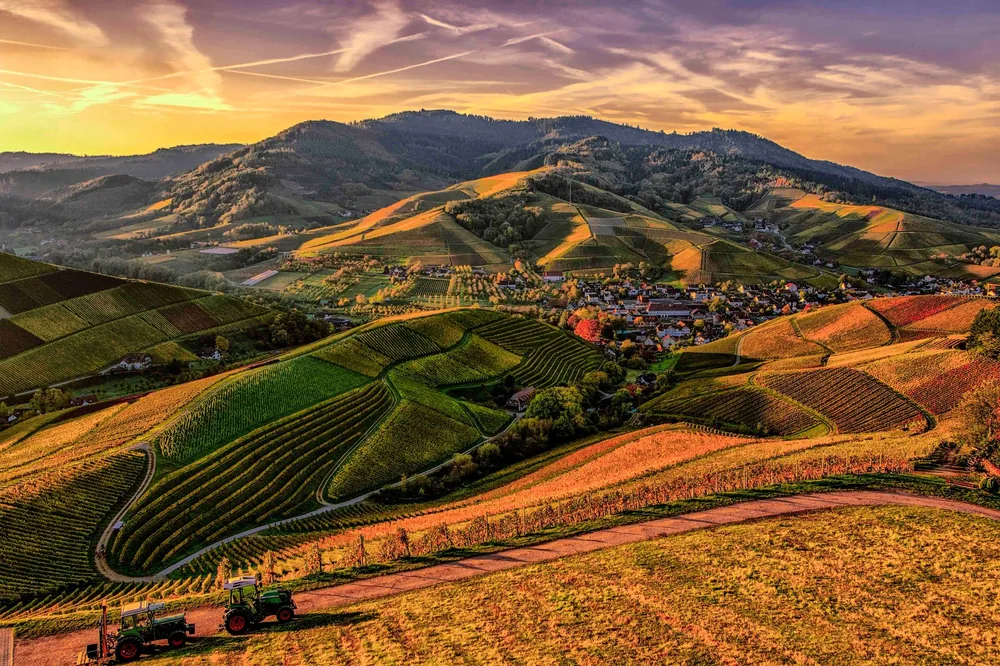 Rolling hills, vineyards, and tractors at sunset, perfect for nature lovers