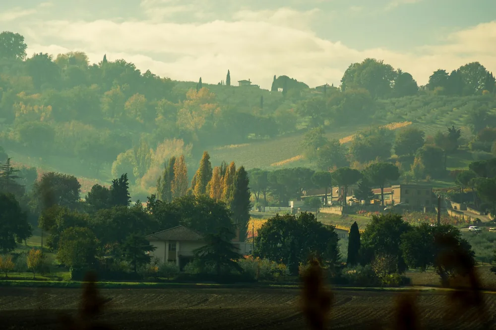 Rolling hills with trees and a small village