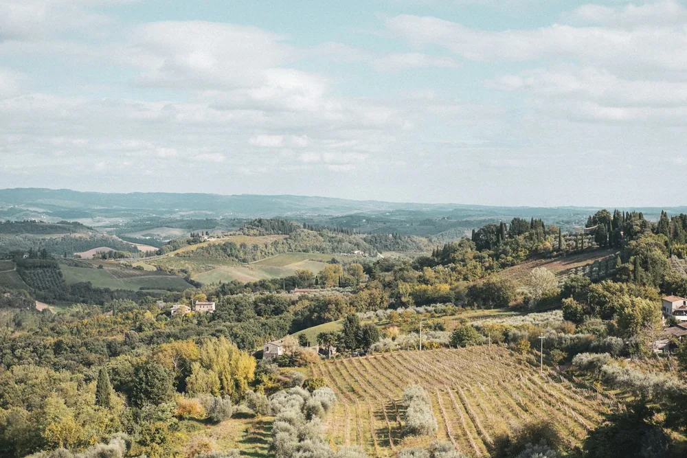 Rolling hills with vineyards and trees under a cloudy sky