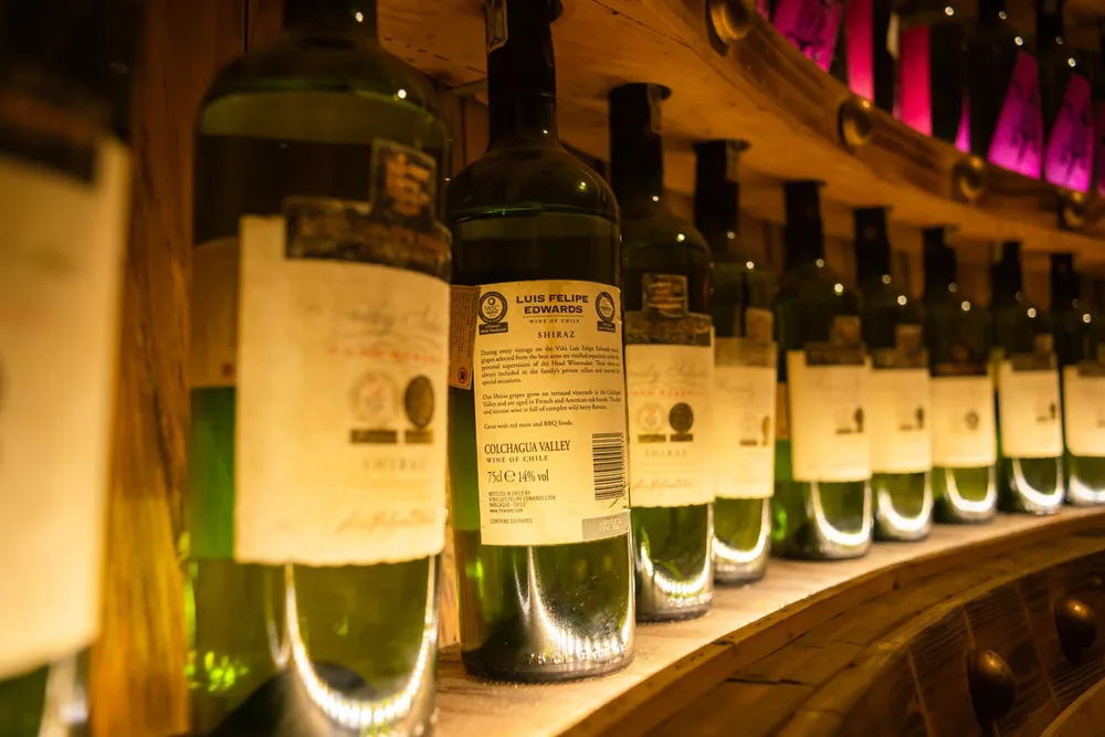 Row of wine bottles in a warmly lit wine cellar, showcasing labels and ambiance