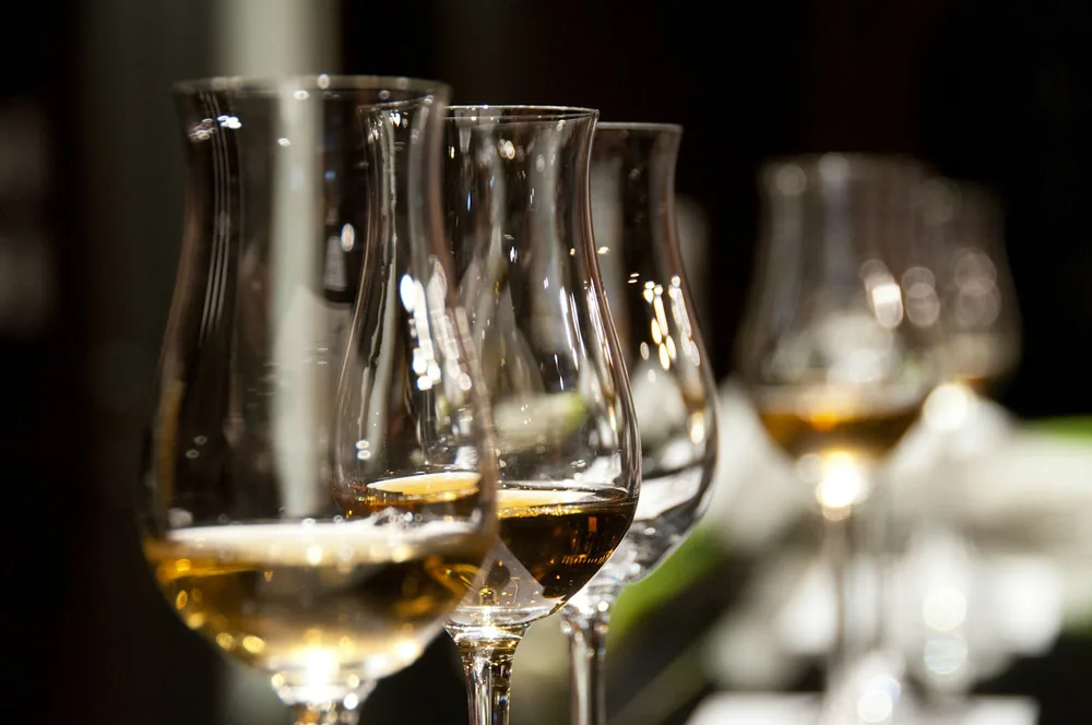 Row of wine glasses in close-up