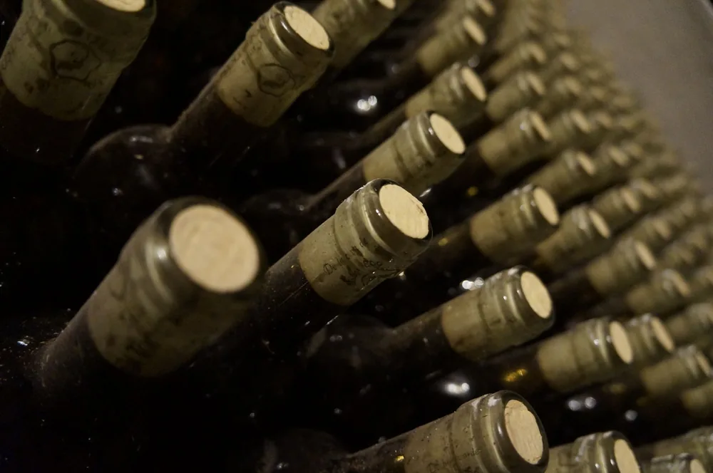 Rows of corked wine bottles in a dimly lit wine cellar creating a classic atmosphere