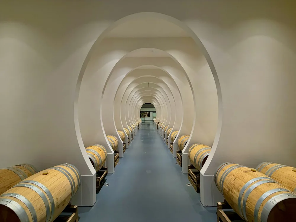 Rows of wine barrels in a modern cellar