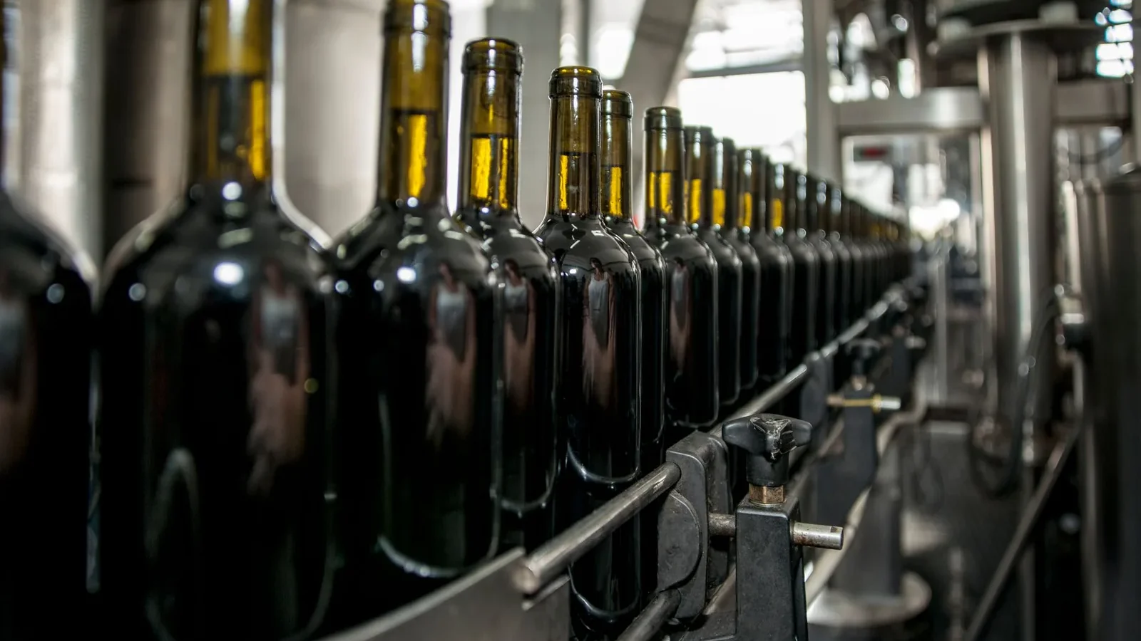 Rows of wine bottles on a production line in an industrial setting