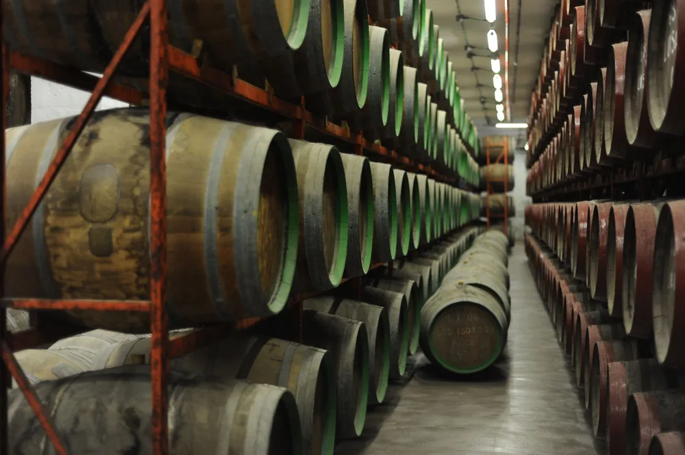 Rows of wooden barrels for aging wine stacked in an indoor storage cellar
