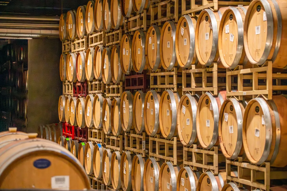 Rows of wooden wine barrels stacked in an indoor winery cellar, showcasing traditional aging process