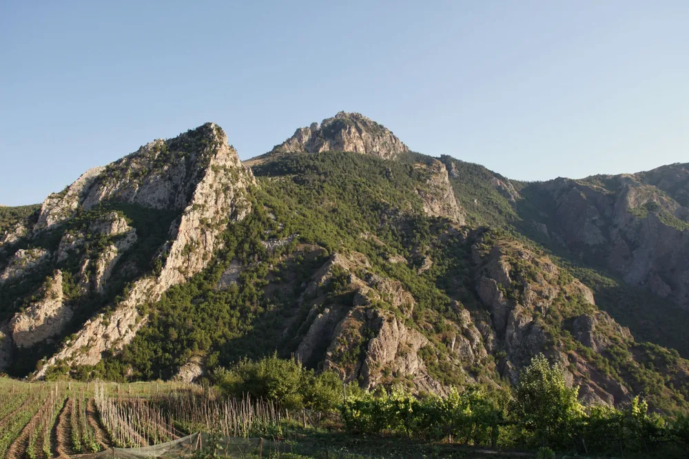 Rugged mountains and lush vineyards under a clear blue sky
