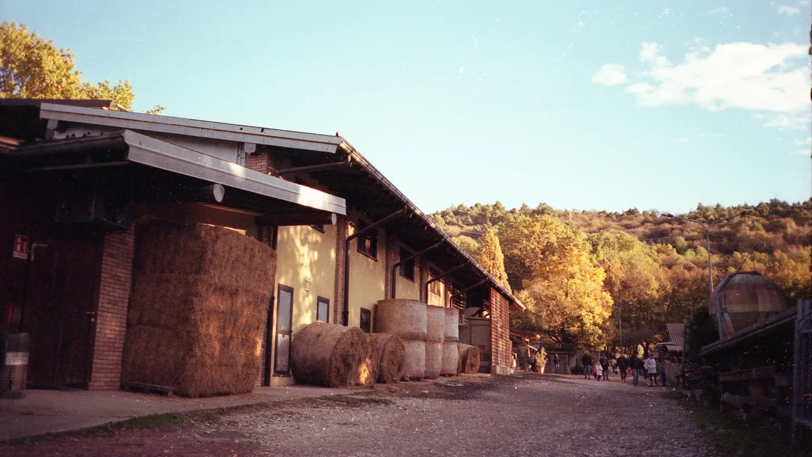 Rural barn with hay bales surrounded by autumn foliage in a peaceful countryside setting