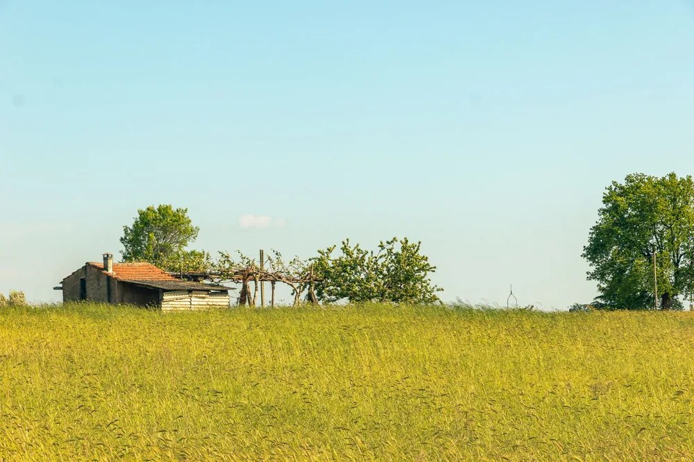 Rural landscape with a farmhouse amidst an open field under a clear blue sky