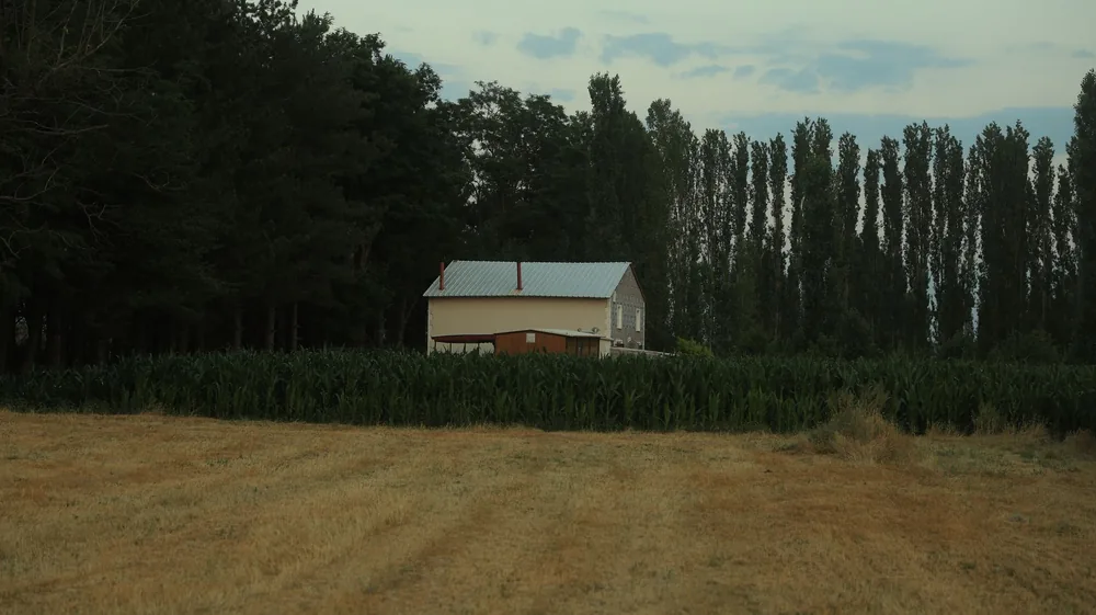 Rural landscape with a farmhouse near dense forest and field