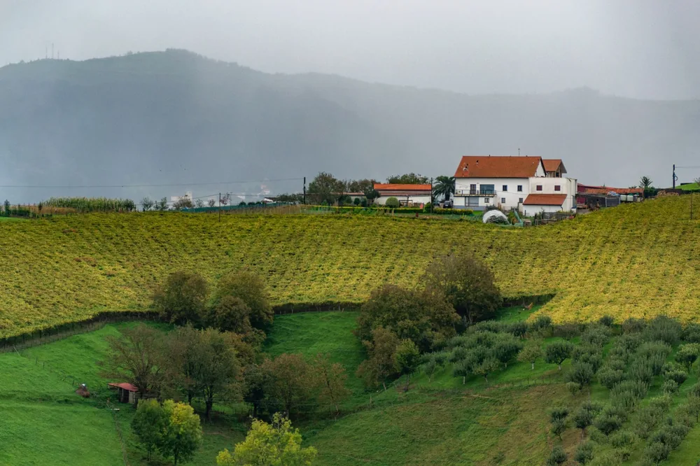 Rural landscape with a farmhouse surrounded by lush green fields and misty hills