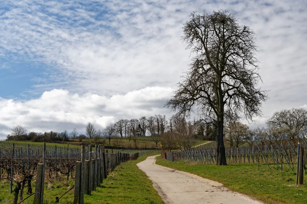 Rural landscape with a winding path, trees, and a chapel under a cloud-filled sky