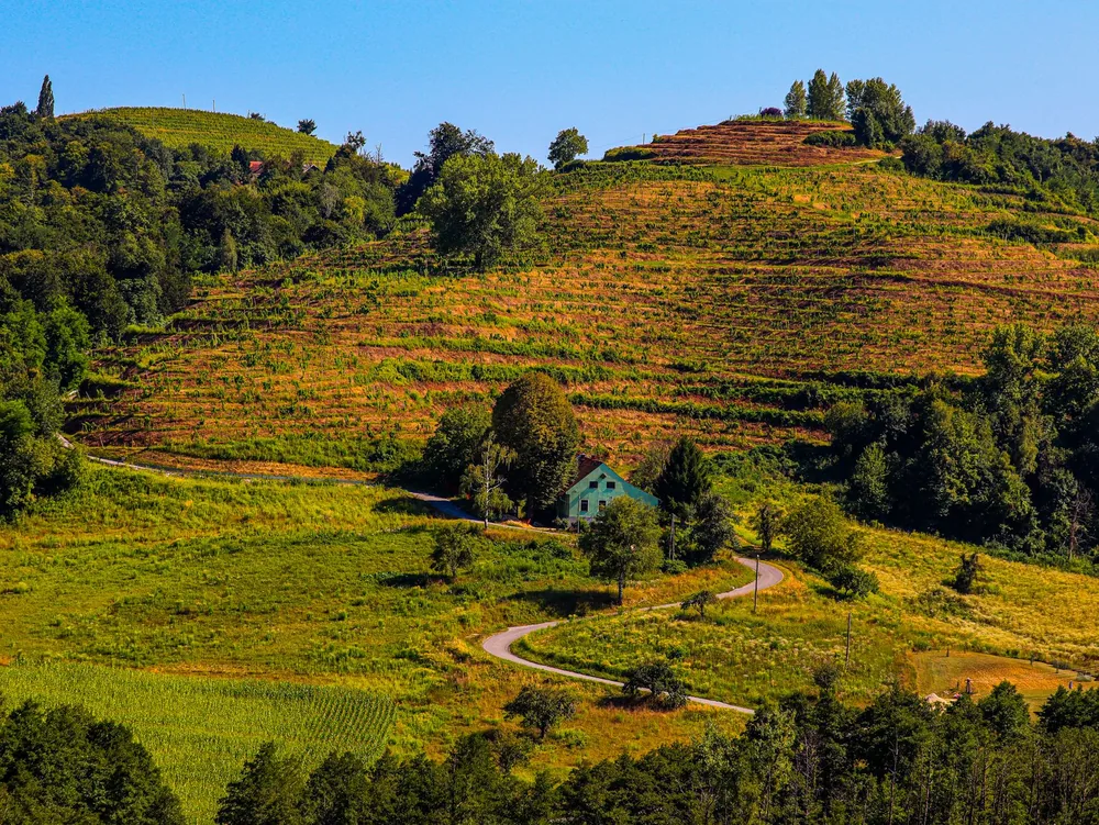 Rural landscape with terraced hills, lush vegetation, and a winding road