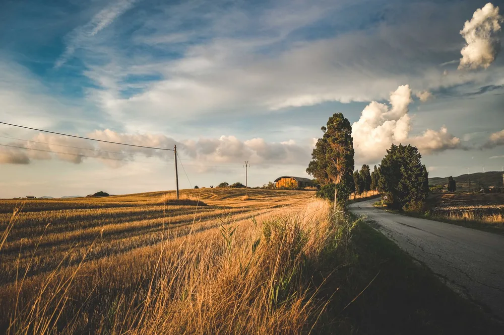 Rural road winds through golden fields under a dramatic sky