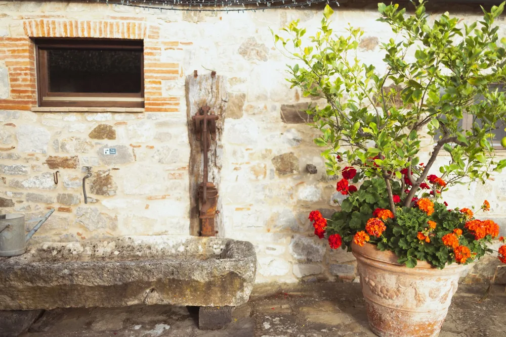 Rustic exterior with potted flowers and stone wall, evoking a warm and vintage atmosphere