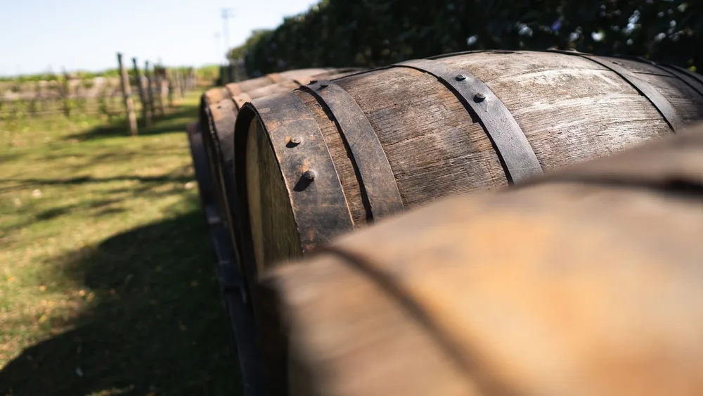 Rustic wooden barrels in a sunny vineyard showcasing rural charm