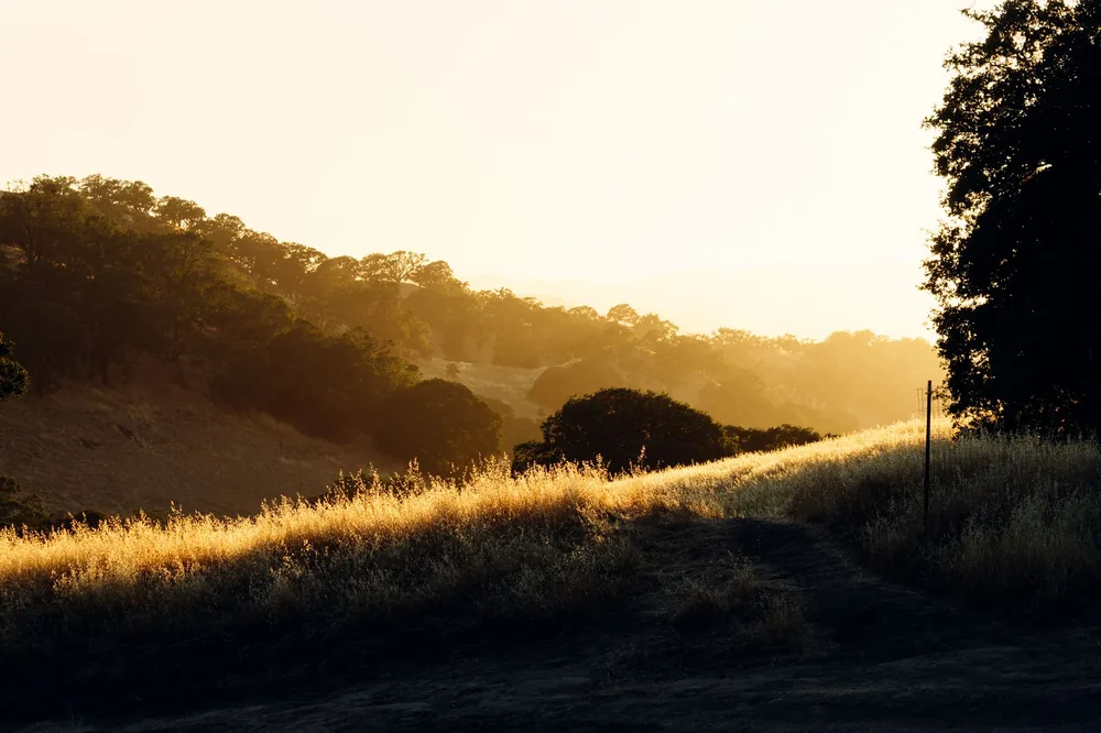 Scenery of abundant valley in hilly terrain with lush trees enlightened with evening sun