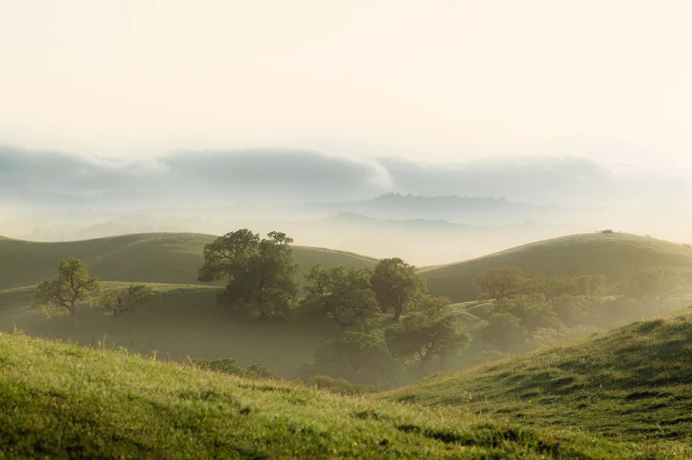 Scenery of spacious grassy hilly valley covered with lush greenery and trees under cloudy sky