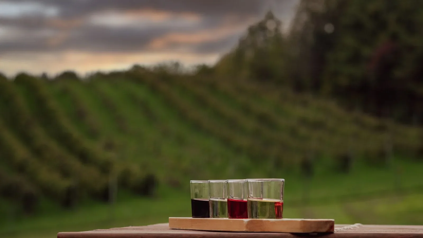 Small glass assortment of liquors on wooden board with vineyard and sunset backdrop