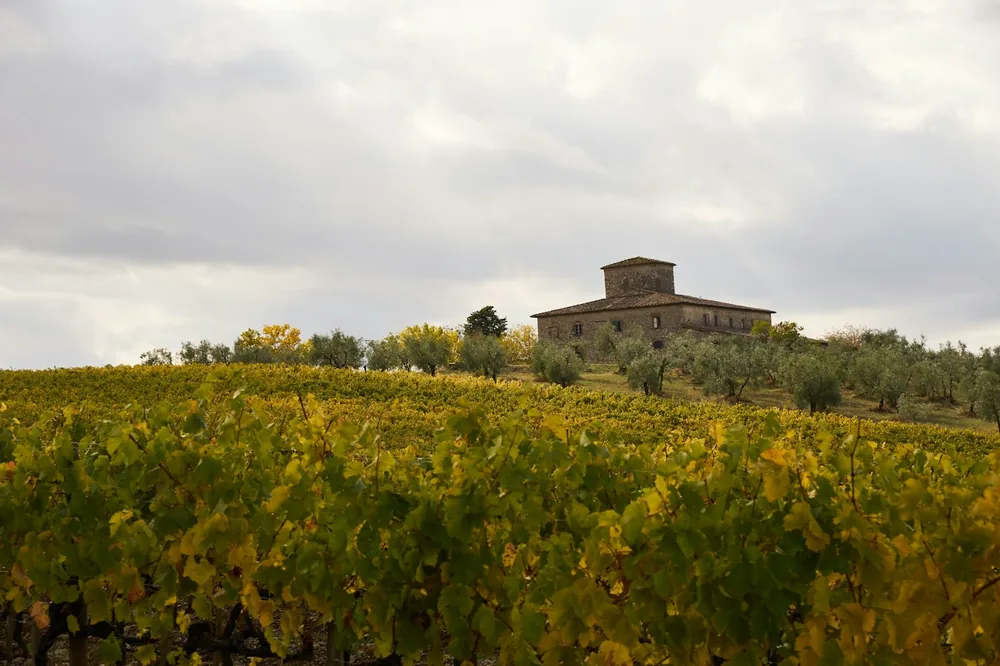 Stone building on a hill with vineyard below