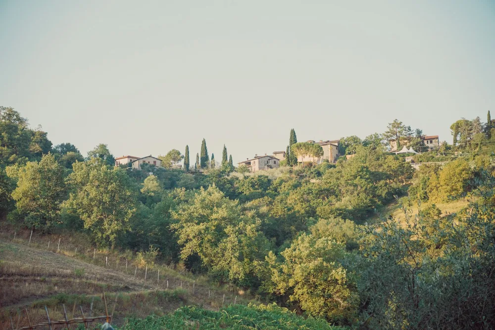 Stone houses on a hillside surrounded by lush green trees and shrubs