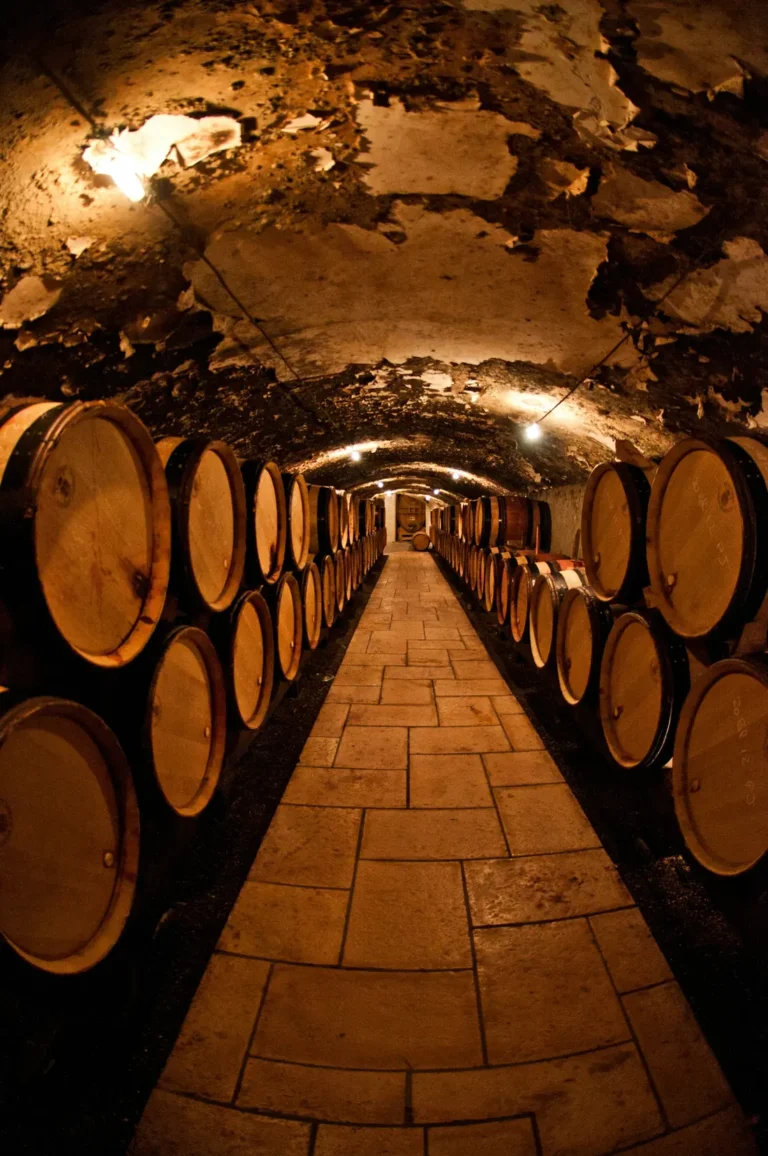 A tunnel of oak barrels resting in a cellar