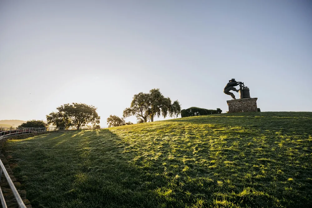 Sunlight illuminates a grassy hill with trees and a sculpture