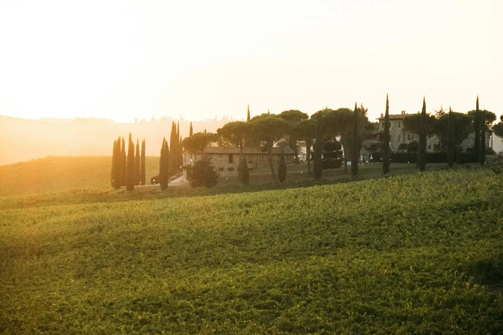 Sunset over a green field and buildings with cypress trees