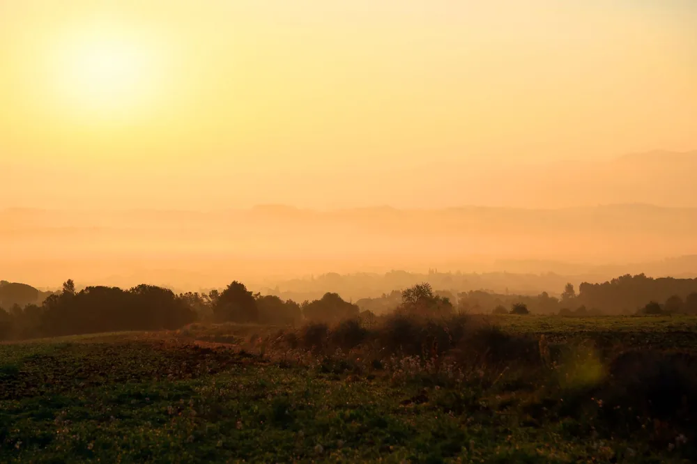 Sunset view of a foggy landscape, capturing the serene beauty of nature during golden hour