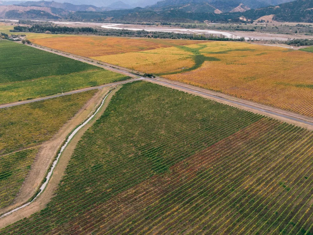 Sweeping aerial view showcasing colorful autumn vineyards, intersecting roads, and distant mountains
