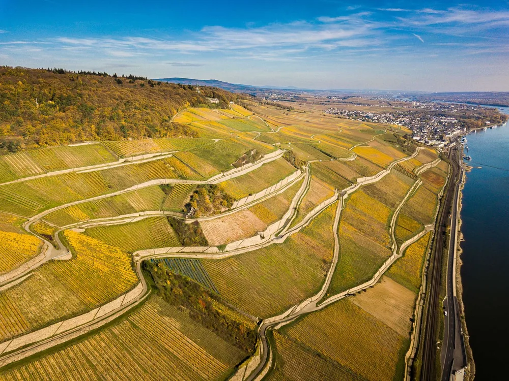 Terraced vineyards along a river, capturing the beauty of rural landscape