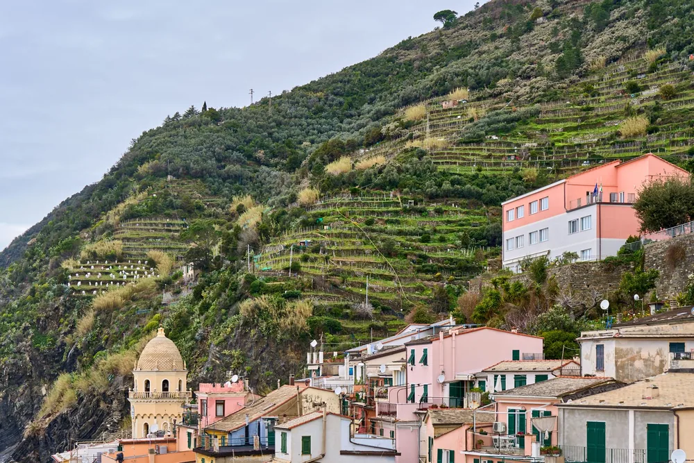 Terraced vineyards along the Amalfi Coast with colorful houses below