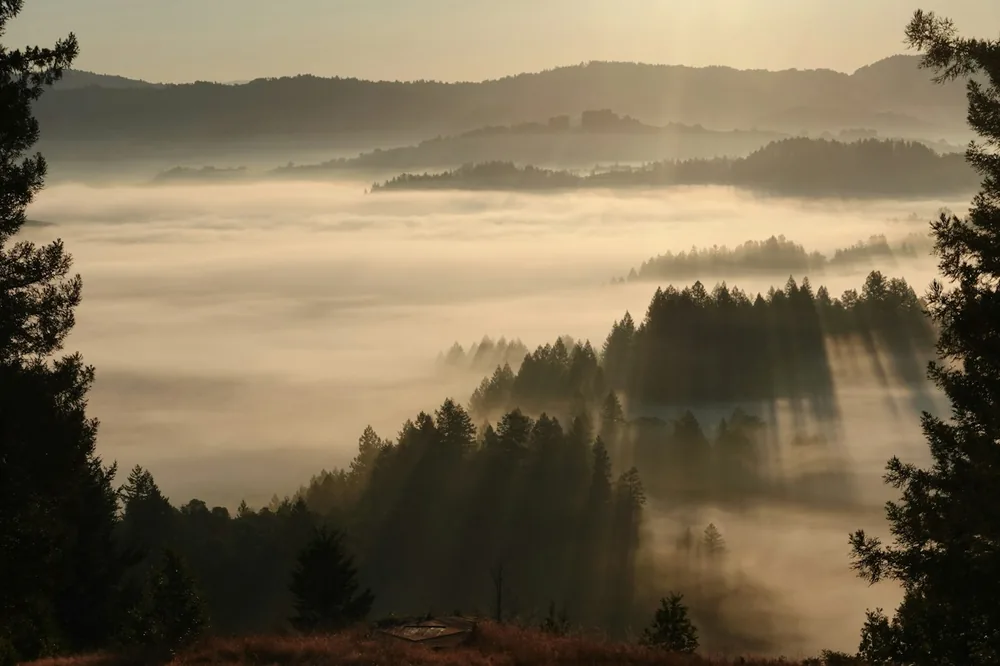 The sun is shining through the fog in the mountains
