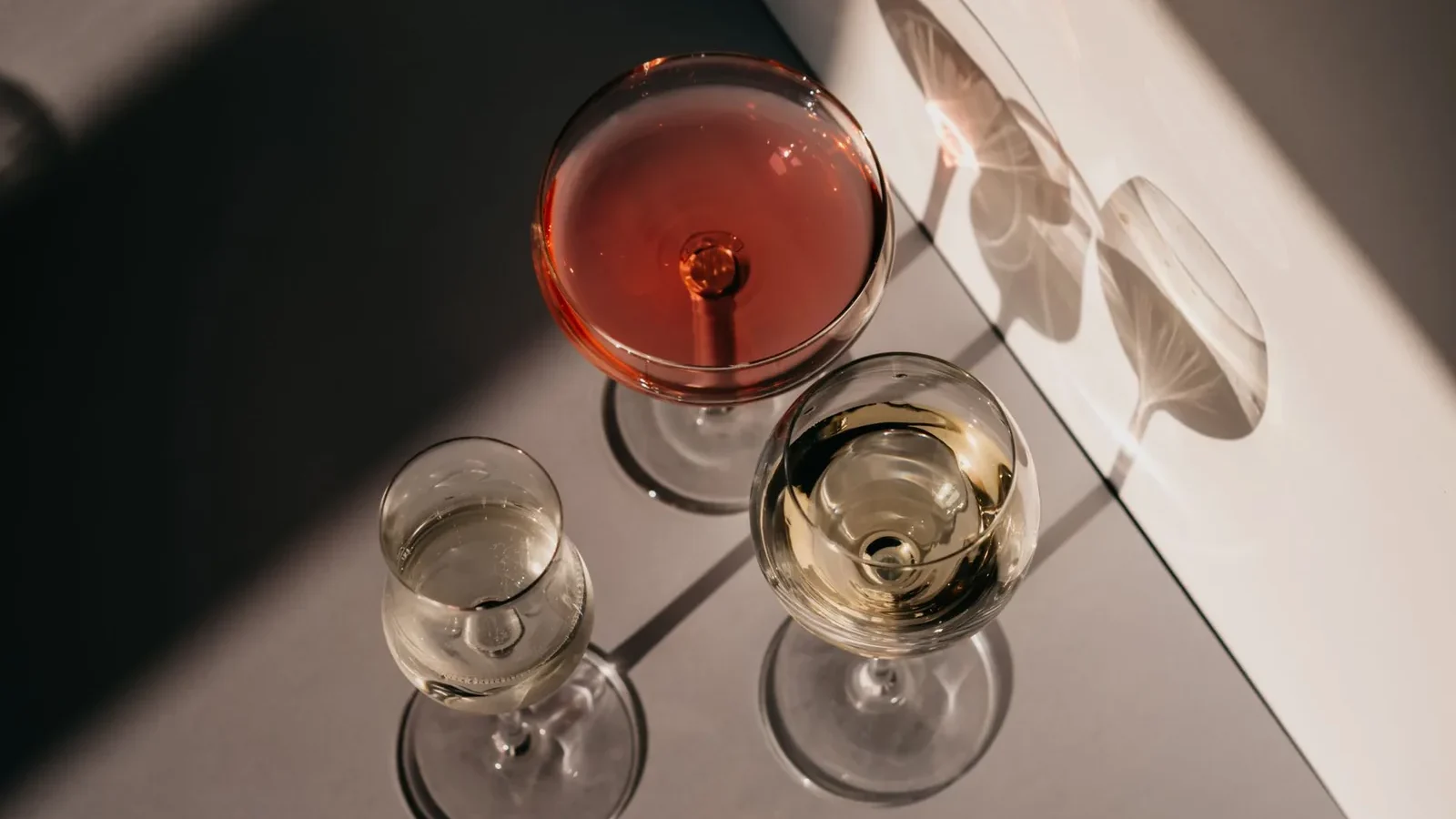 Three different wine glasses casting unique shadows in natural sunlight, showcasing elegance and variety